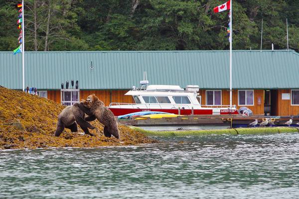 Knight Inlet Lodge - British Columbia - Canada - Doets Reizen