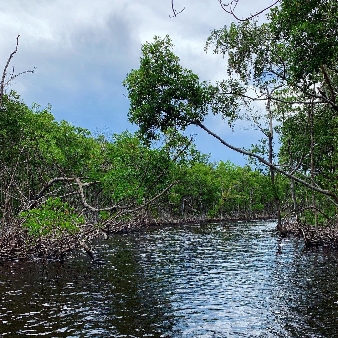 Airboat Tour Everglades National Park - Florida - Doets Reizen