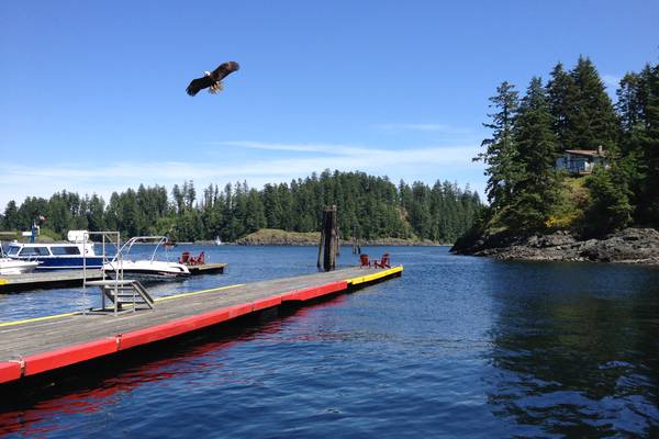 Campbell River - Vancouver Island - British Columbia - Canada - Doets Reizen