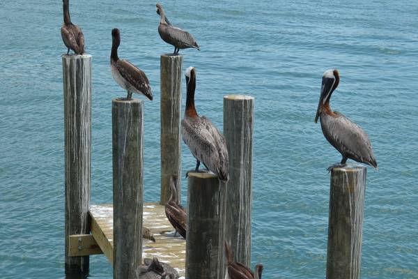 St. Pete Beach - Florida - Doets Reizen