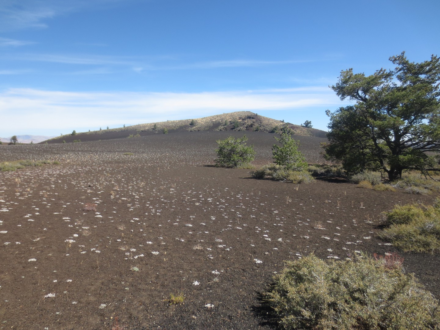 Craters of the Moon National Monument - Idaho - Amerika - Doets Reizen