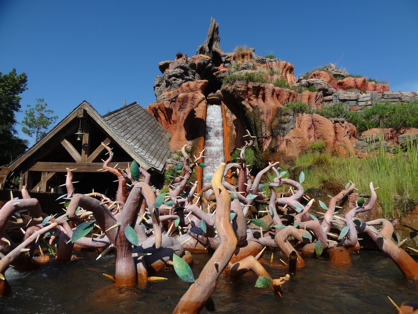 Disney - Orlando - Florida - Doets Reizen