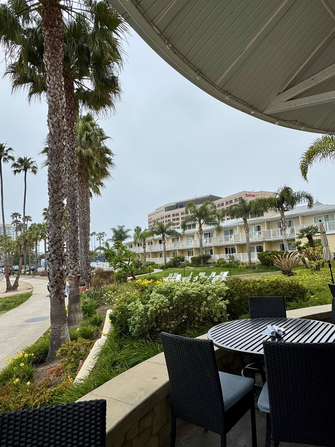 Marina del Rey view 2