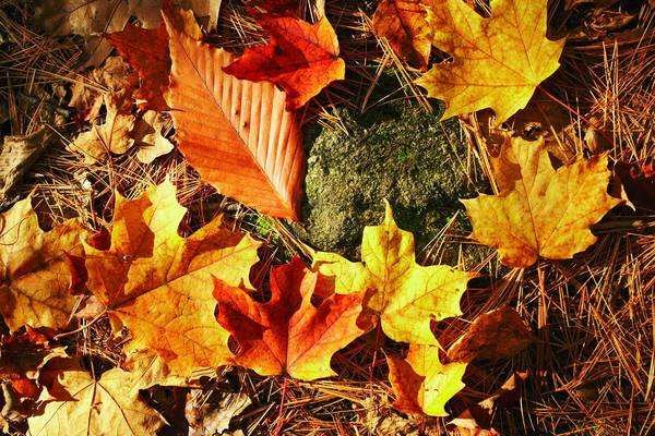 Indian Summer - New England - Amerika - Doets Reizen