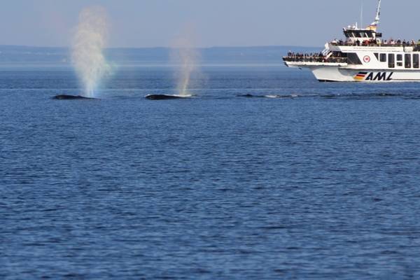 St. Lawrence River - Tadoussac - Quebec - Canada - Doets Reizen
