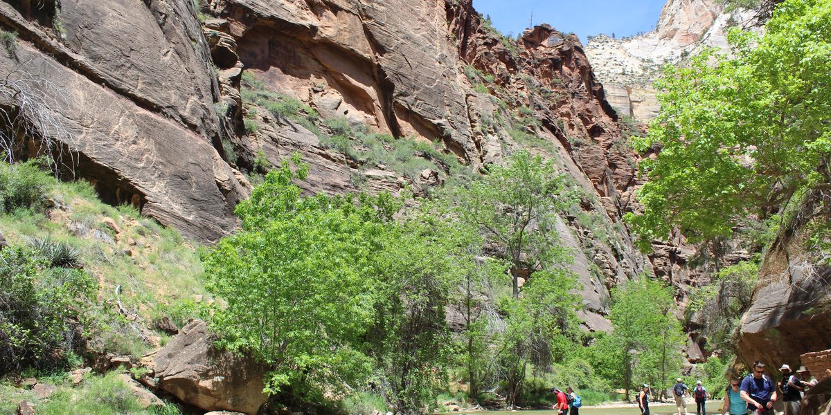 Zion National Park - Utah - Doets Reizen