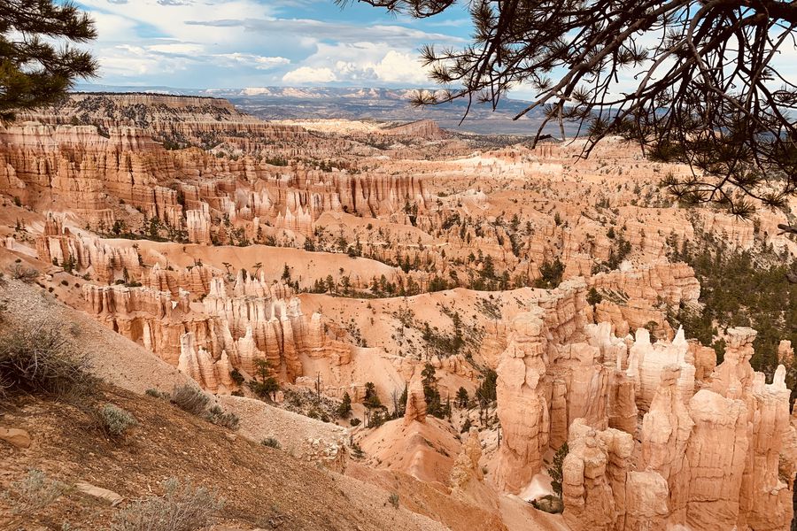 Bryce Canyon National Park - Utah - Doets Reizen