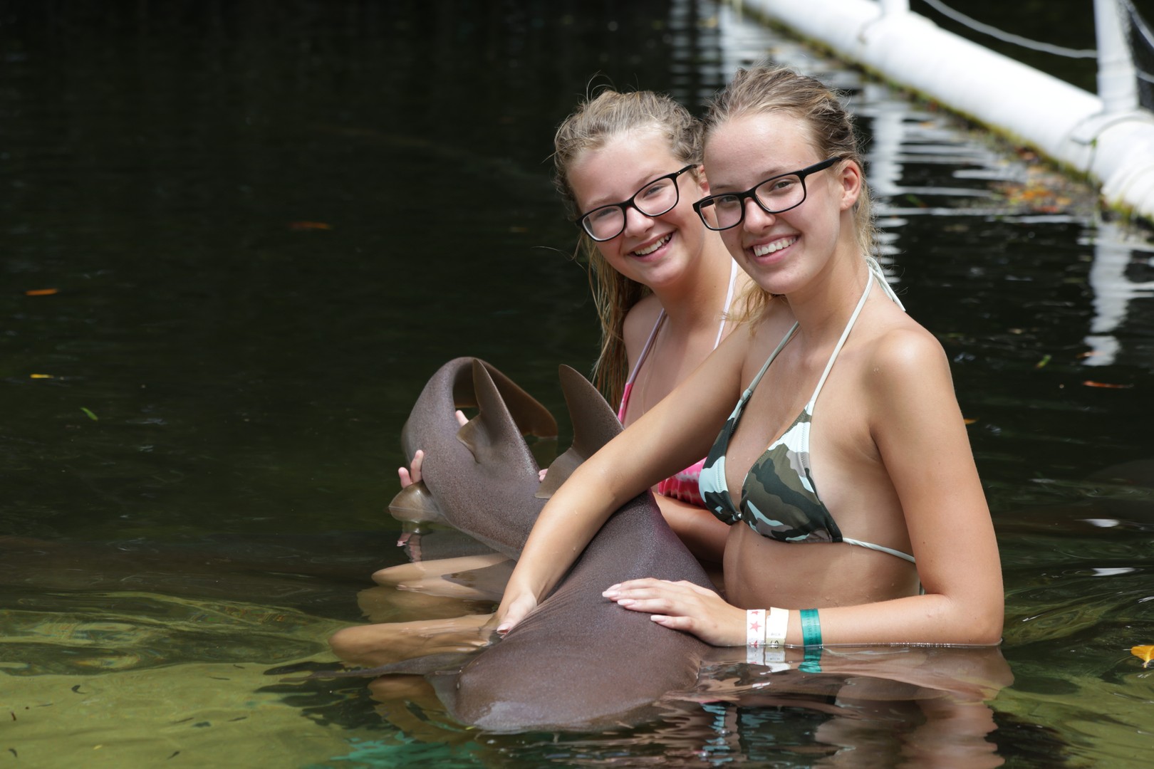 Theater of the Sea - Islamorada - The Keys - Florida - Doets Reizen