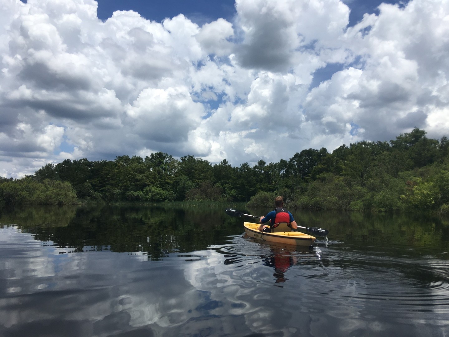 Mangrove Tunnel Tour - Everglades National Park - Florida - Doets Reizen