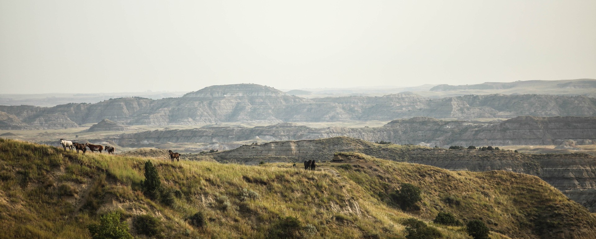 Theodore Roosevelt National Park - North Dakota - Amerika - Doets Reizen