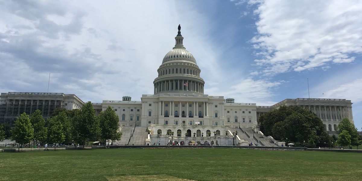 Capitol - Washington D.C. - Doets Reizen