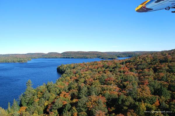 Indian Summer Algonquin Park - Ontario - Canada - Doets Reizen