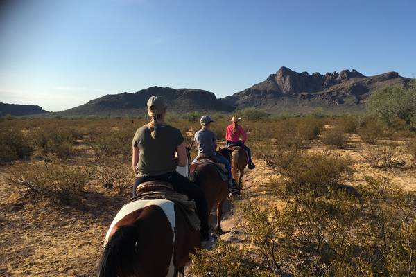 White Stallion Ranch - Tucson - Arizona - Doets Reizen