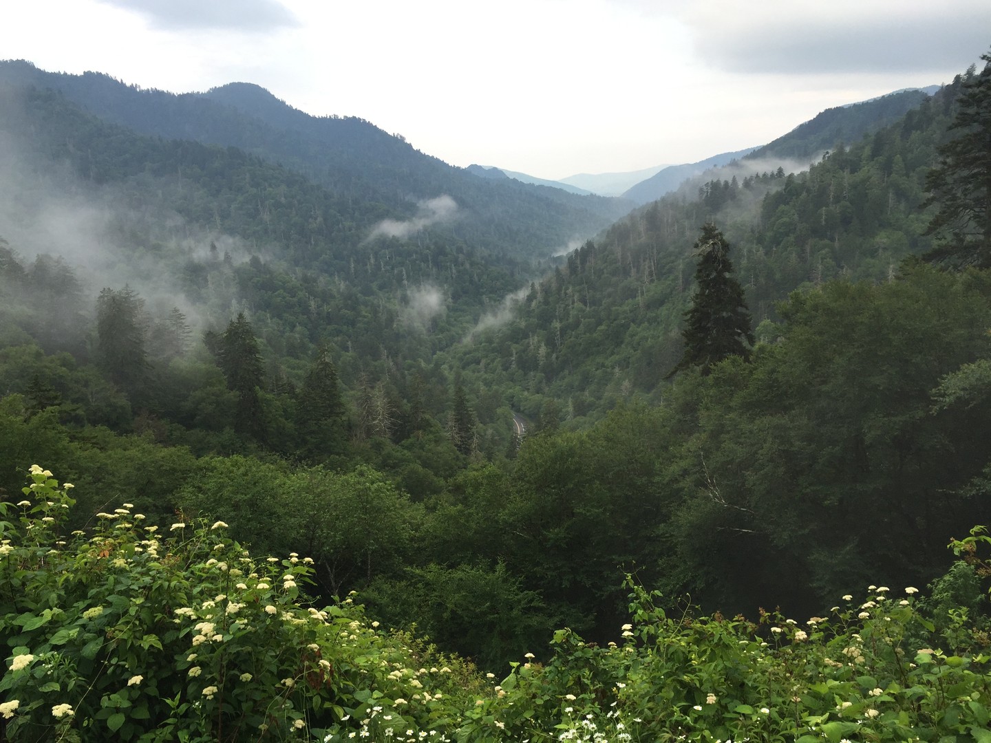 Great Smokey Mountains National Park - Tennessee - Amerika - Doets Reizen
