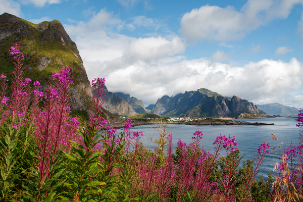 Reine - Doets Reizen - Vakantie Noorwegen- Credits VisitNorway
