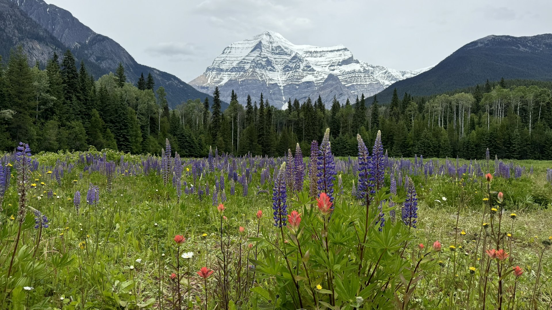 Jasper - Mount Robson - Doets Reizen - Alberta - Canada