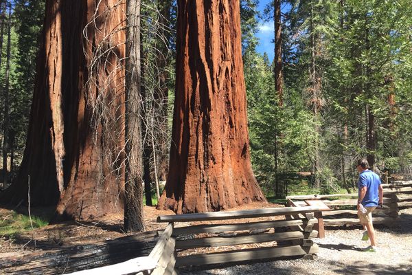 Yosemite National Park - California - Doets Reizen