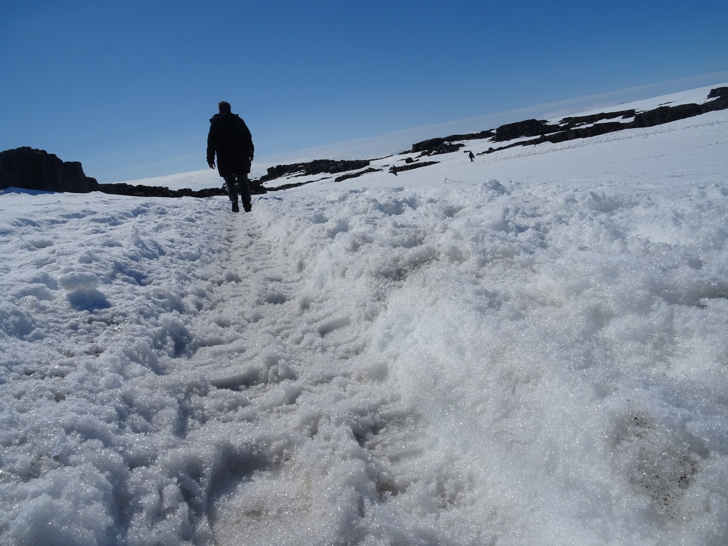 Detifoss watervallen - IJsland - Doets Reizen