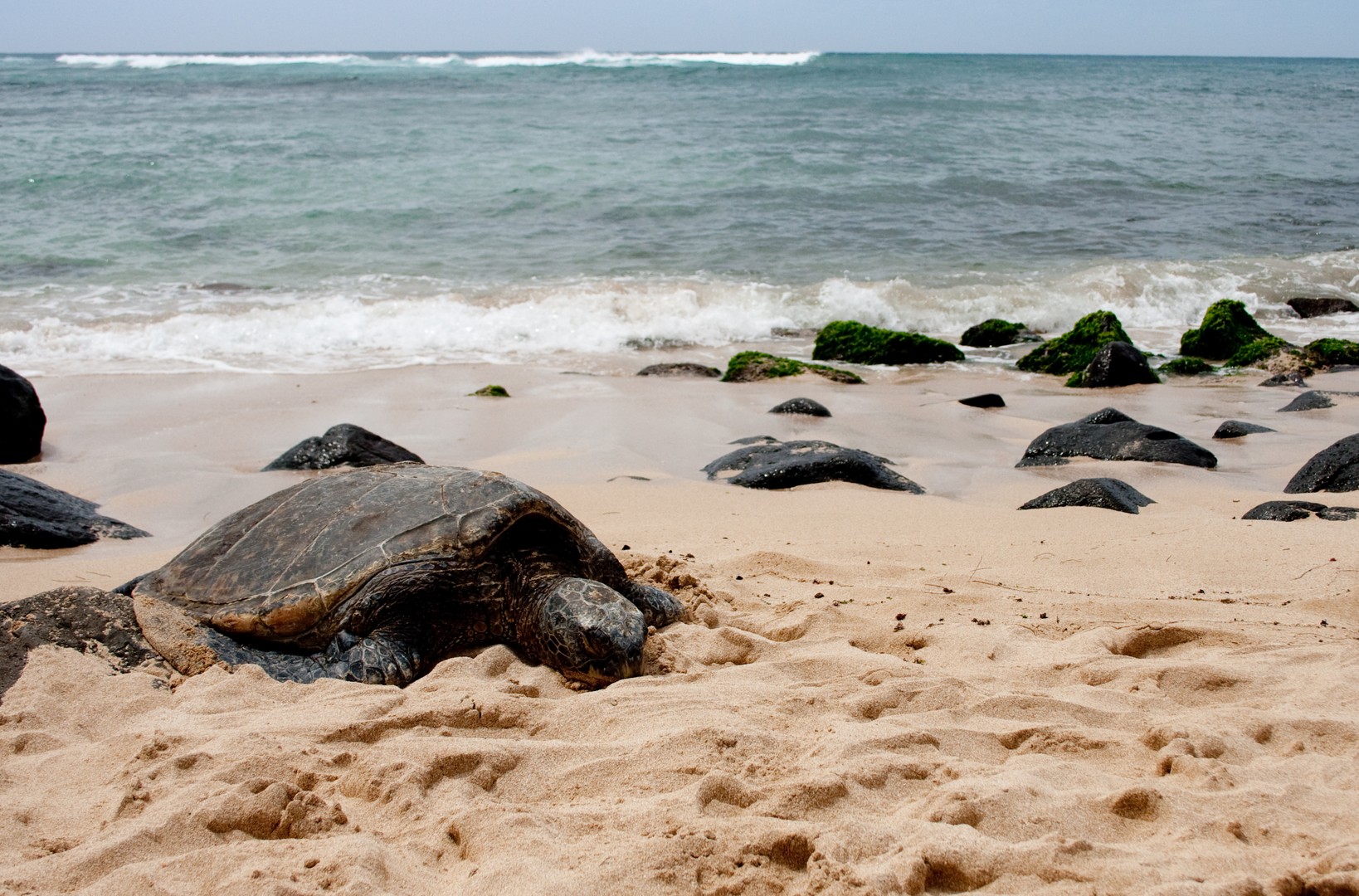 Sandy Beach - Oahu - Hawaii - Doets Reizen