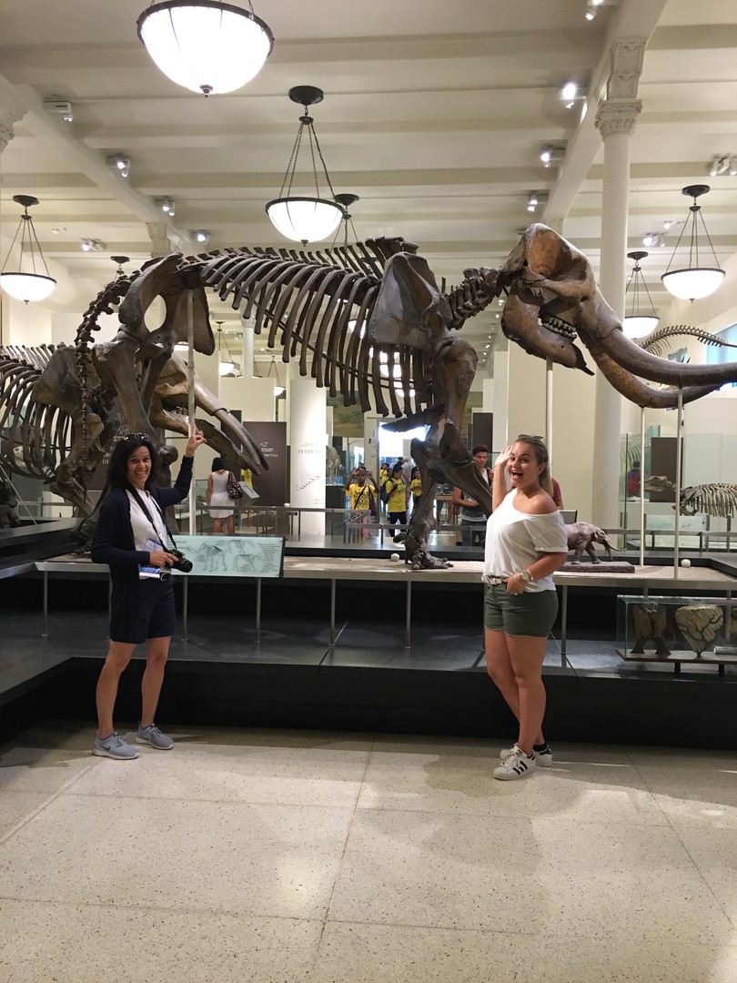 American Museum of National History - New York - Doets Reizen