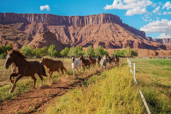 Sorrel River Ranc - Moab - Arches National Park - Canyonlands National Park - Doets Reizen