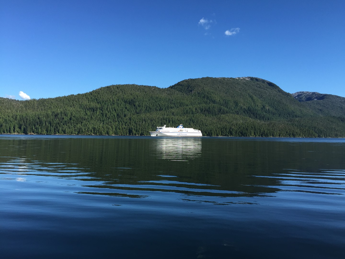 Spirit Bear Lodge - Great Bear Rainforest - British Columbia - Canada - Doets Reizen