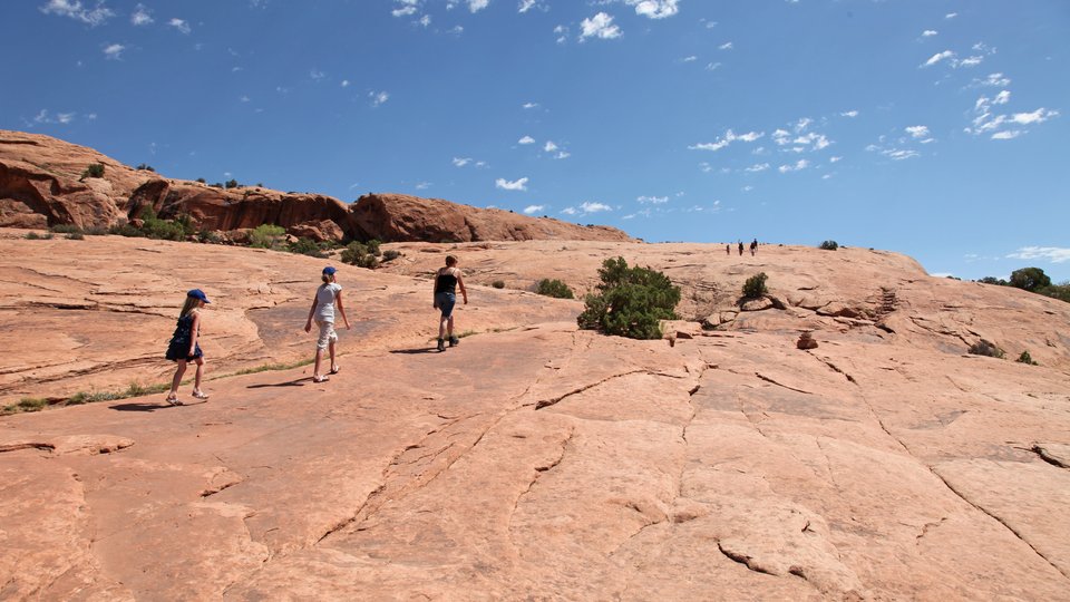 Doets Reizen - Altijd op de eerste rij, Very VIP