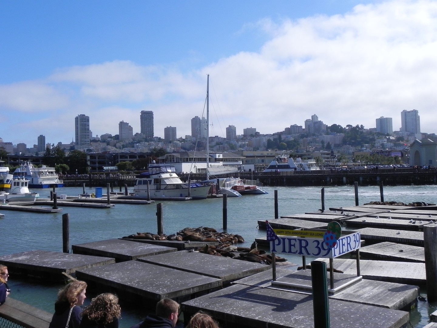 Pier 39 - San Francisco - California - Amerika - Doets Reizen