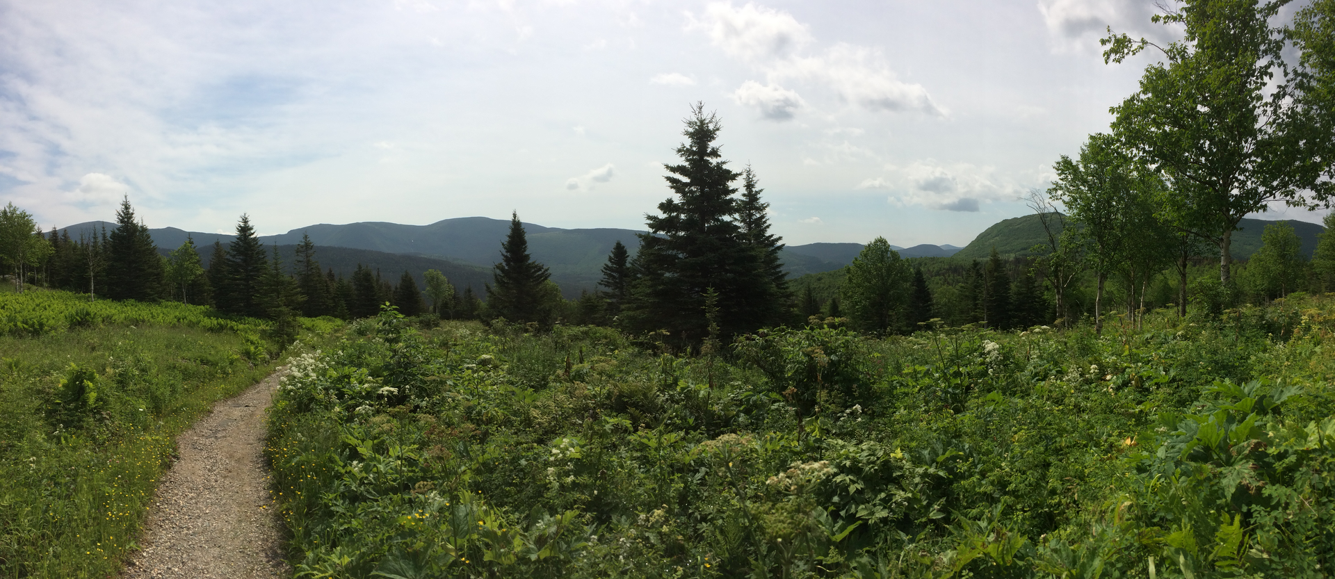 Gaspésie National Park - Quebec - Canada - Doets Reizen