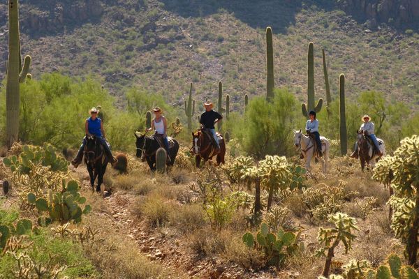 Tucson - Arizona - Doets Reizen