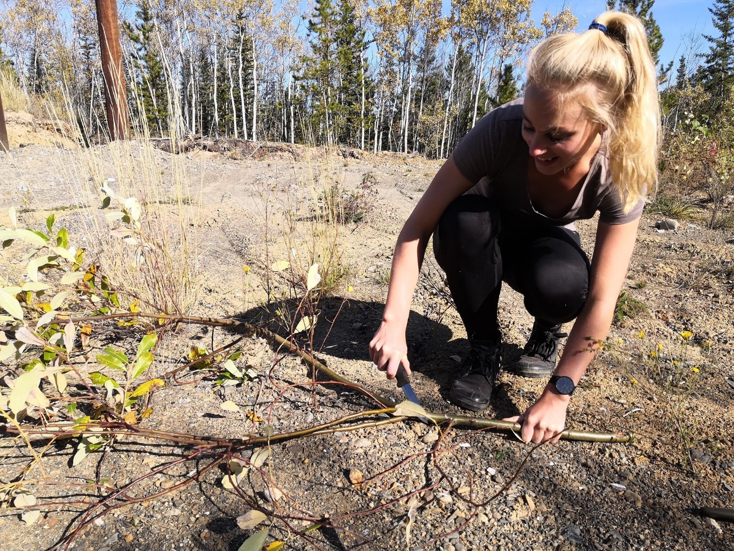 Kamperen Whitehorse - Yukon - Canada - Doets Reizen