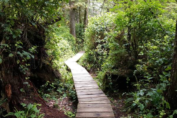 Pacific Rim National Park - Vancouver Island - British Columbia - Canada - Doets Reizen