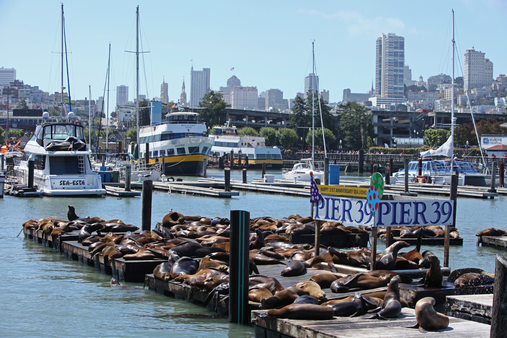 San Francisco - California - Amerika - Doets Reizen