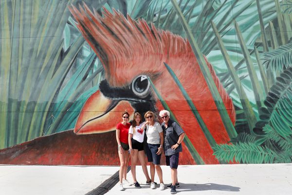 Wynwood Walls - Miami - Florida - Doets Reizen