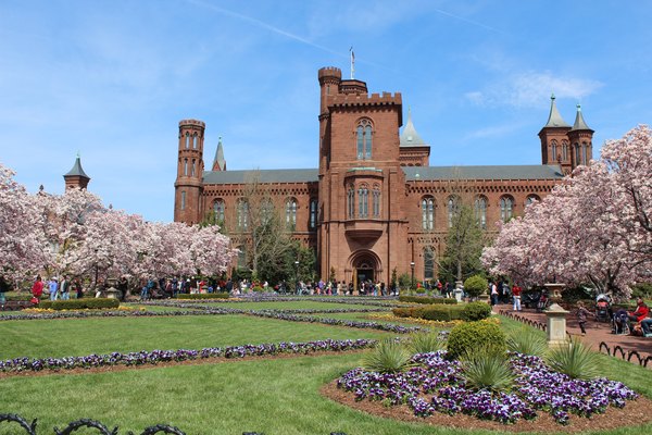 Washington D.C. - Doets Reizen