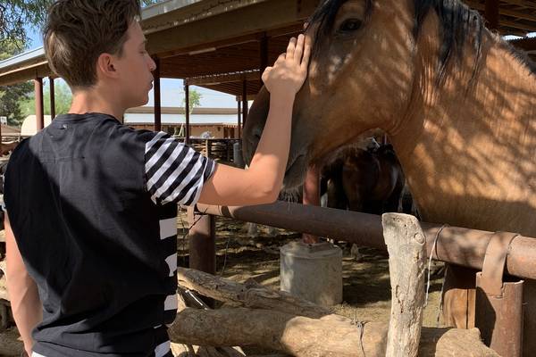 Tanque Verde Ranch - Tucson - Arizona - Doets Reizen