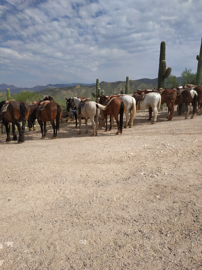 Tucson - Arizona - Doets Reizen