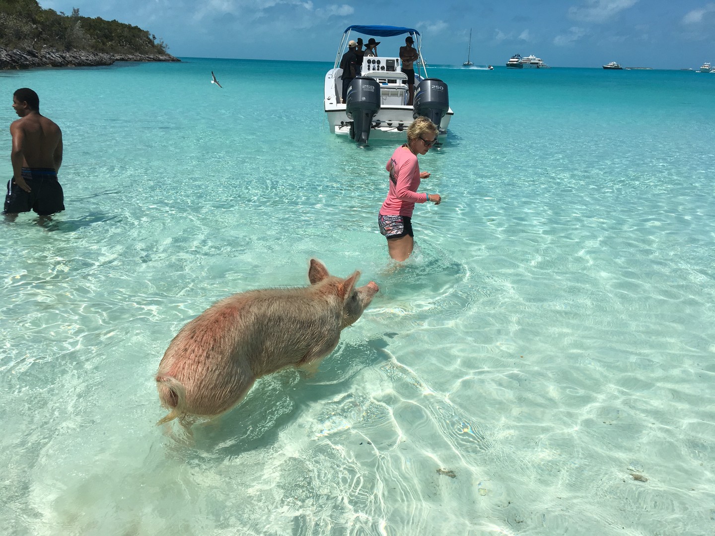 Great Exuma - Cruise Bahamas - Cruisevakantie - Doets Reizen