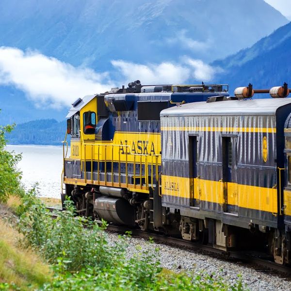 26 Glacier Cruise Prince William Sound - Anchorage - Alaska - Doets Reizen