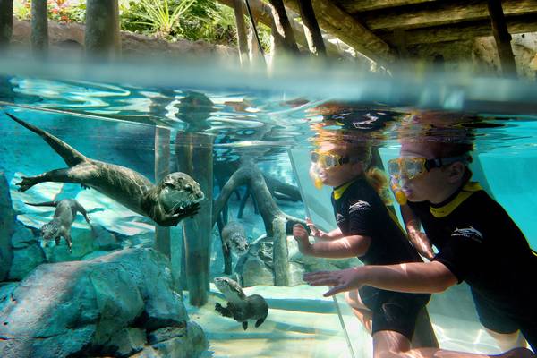 Discovery Cove - Orlando - Florida - Doets Reizen