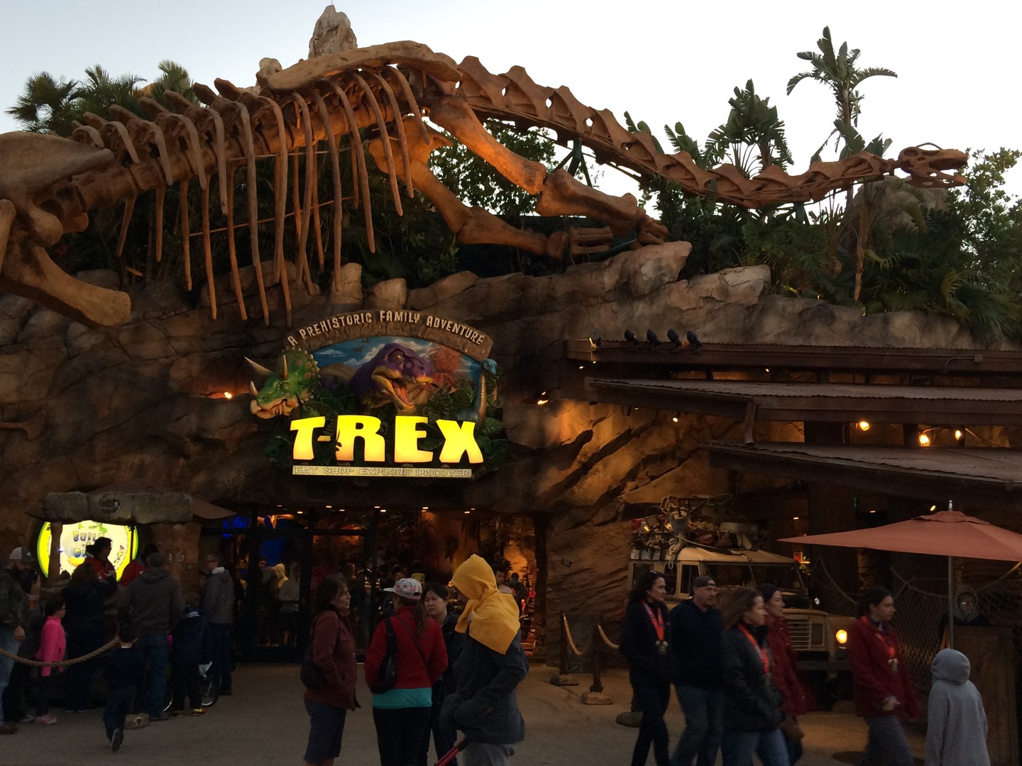 Disney - Orlando - Florida - Doets Reizen