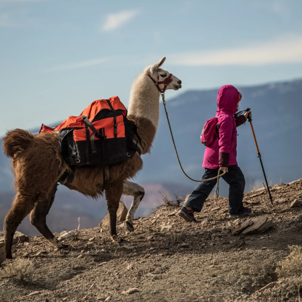 Wilderness Ridge Adventures - Lama Tours - Capitol Reef NP - Utah - Amerika - Doets Reizen