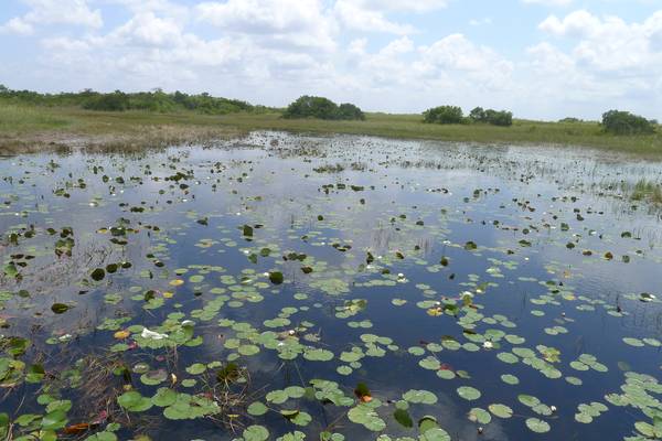 Everglades National Park - Florida - Doets Reizen