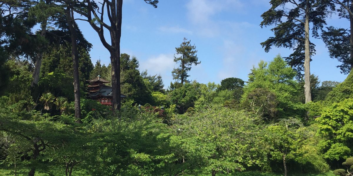 Golden Gate Park - San Francisco - California - Amerika - Doets Reizen