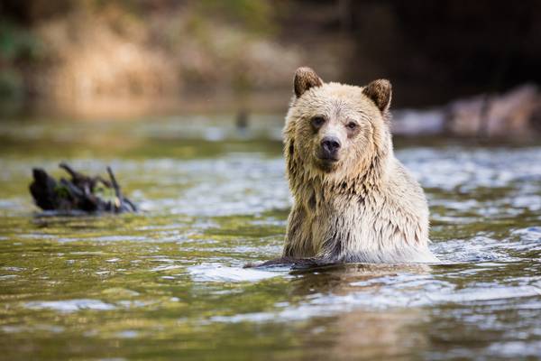 Knight Inlet Lodge - British Columbia - Canada - Doets Reizen