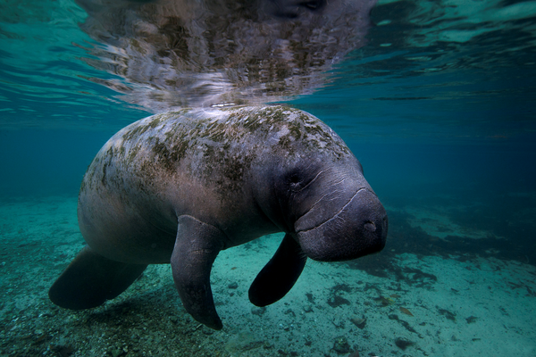 The Keys - Florida - Vakantie Amerika - Doets Reizen