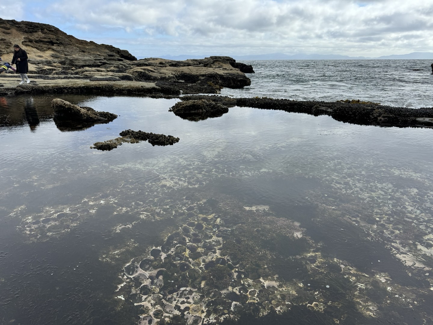 Port Renfrew - Botanical Beach - Vancouver Island - Canada - Doets Reizen