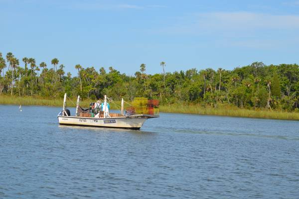 Crystal River - Florida - Doets Reizen