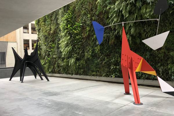 San Francisco - California - Amerika - Doets Reizen