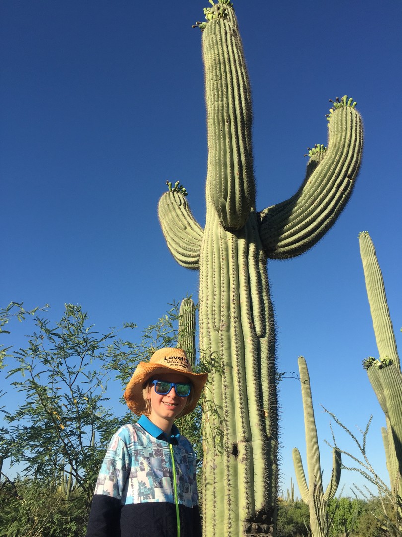 Tucson - Arizona - Doets Reizen